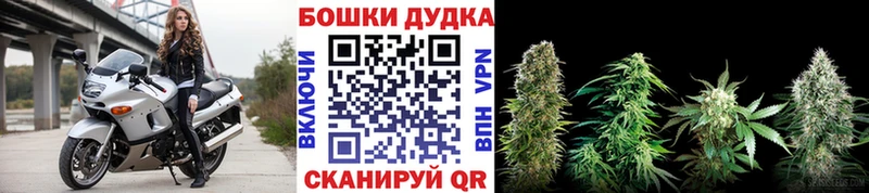 Бошки марихуана White Widow Белозерск