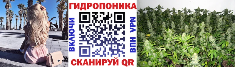 Бошки марихуана VHQ  дарк нет какой сайт  Белозерск 